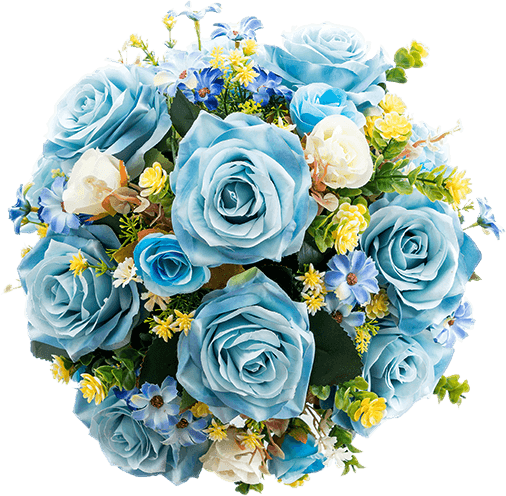 گل های رز مینیاتوری آبی و سفید