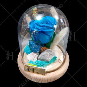 گل-رز-جاودان-رنگ-آبی--شیشه-حبابی