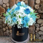 باکس گل مشکی با گل رز آبی و آلسترمریا