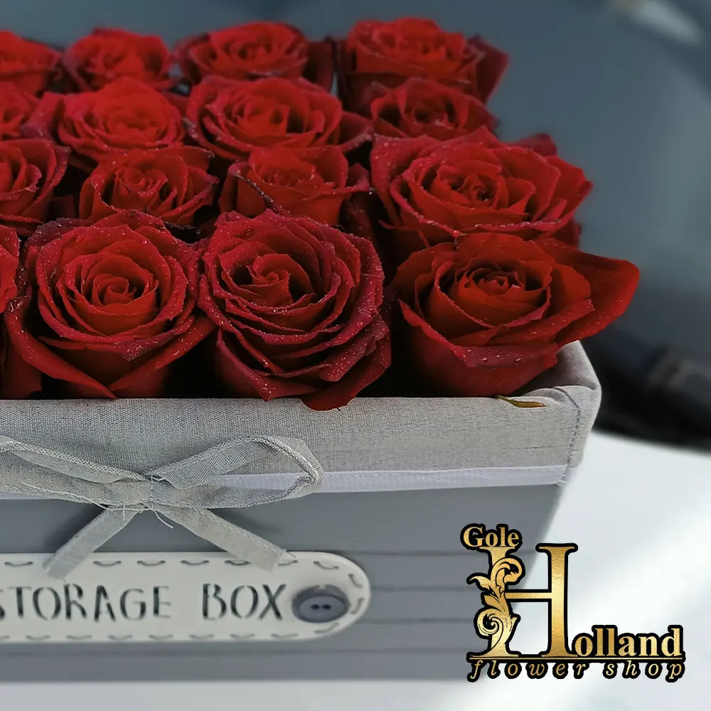 باکس گل چوبی با 16 شاخه گل رز قرمز هلندی