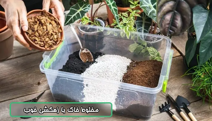 مخلوط خاک با زهکشی خوب برای رشد گیاهان در خانه