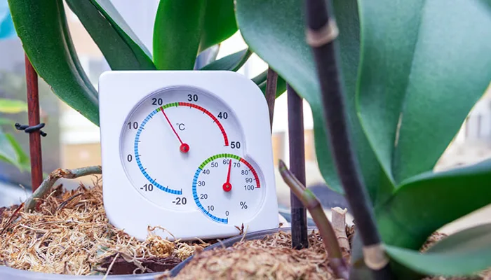 نظارت بر دما برای رشد گیاهان در خانه