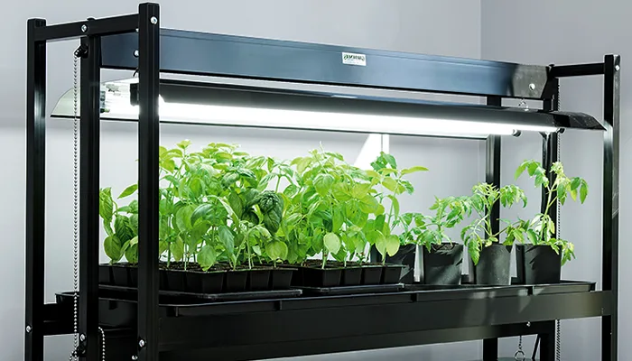نوردهی مناسب برای رشد گیاهان در خانه