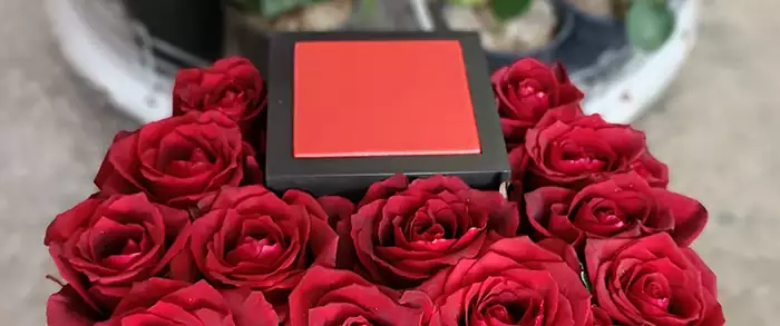 باکس گل رز با جای کادو قرمز